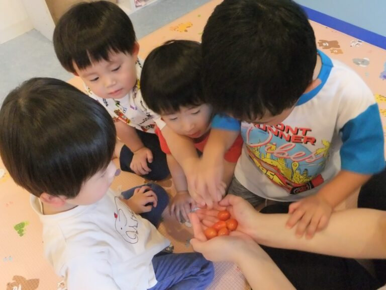 ミニトマトの生長うれしいな🍅